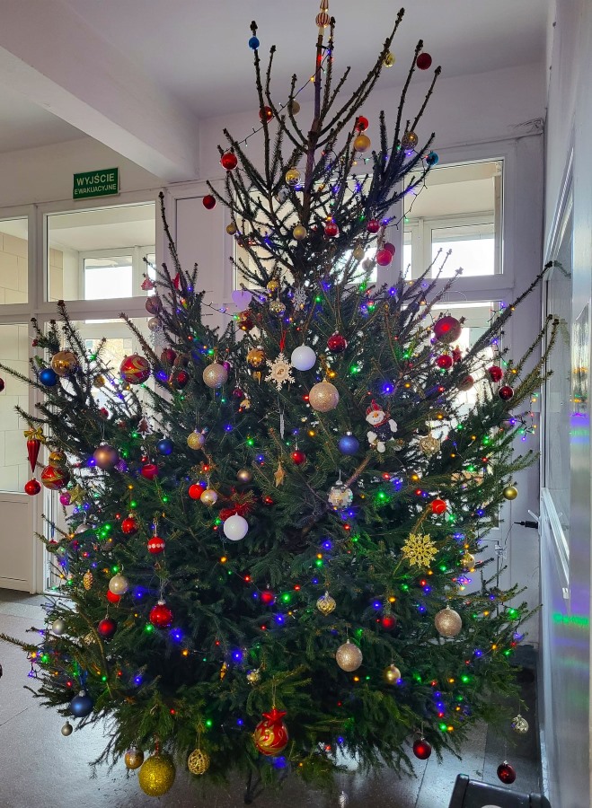 Choinka w Ekonomiku