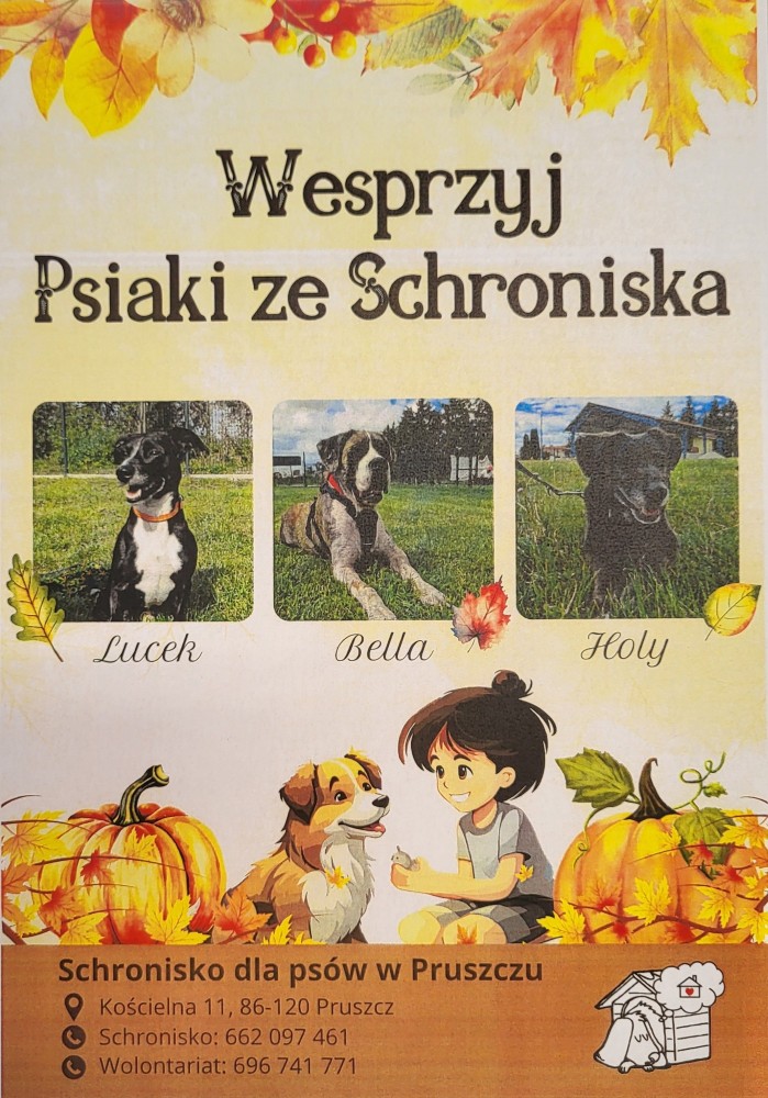 Wesprzyj psiaka ze schroniska